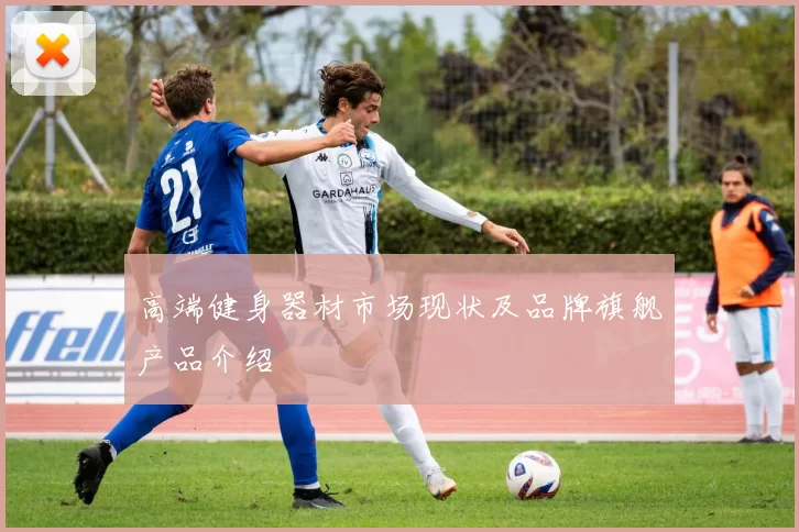 高端健身器材市场现状及品牌旗舰产品介绍