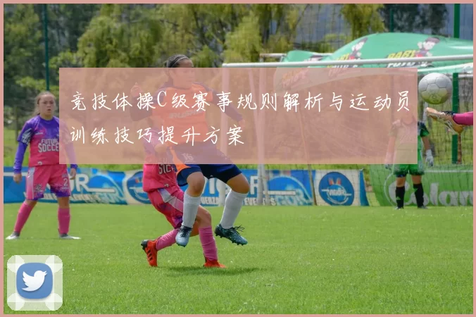 竞技体操C级赛事规则解析与运动员训练技巧提升方案