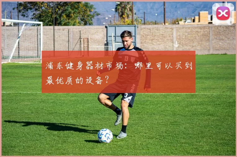 浦东健身器材市场：哪里可以买到最优质的设备？