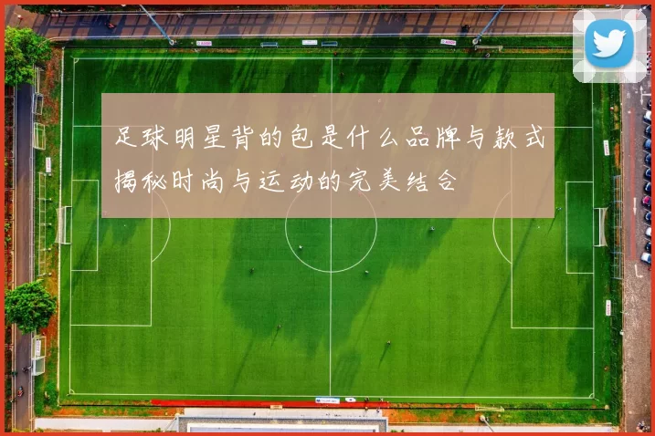 足球明星背的包是什么品牌与款式揭秘时尚与运动的完美结合