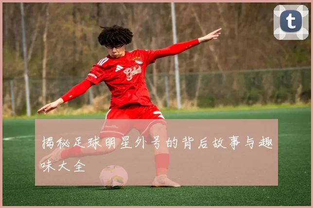 揭秘足球明星外号的背后故事与趣味大全