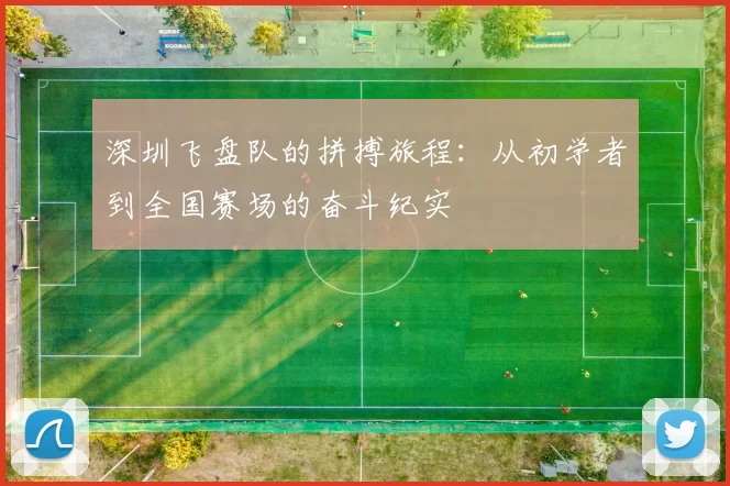 深圳飞盘队的拼搏旅程：从初学者到全国赛场的奋斗纪实