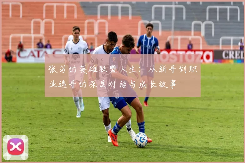 张芳的英雄联盟人生：从新手到职业选手的深度对话与成长故事