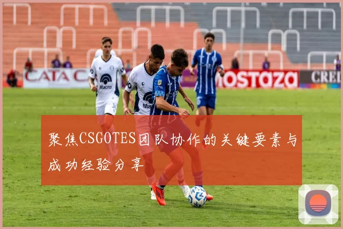 聚焦CSGOTES团队协作的关键要素与成功经验分享