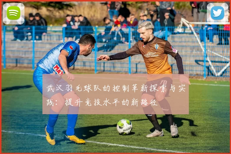武汉羽毛球队的控制革新探索与实践：提升竞技水平的新路径