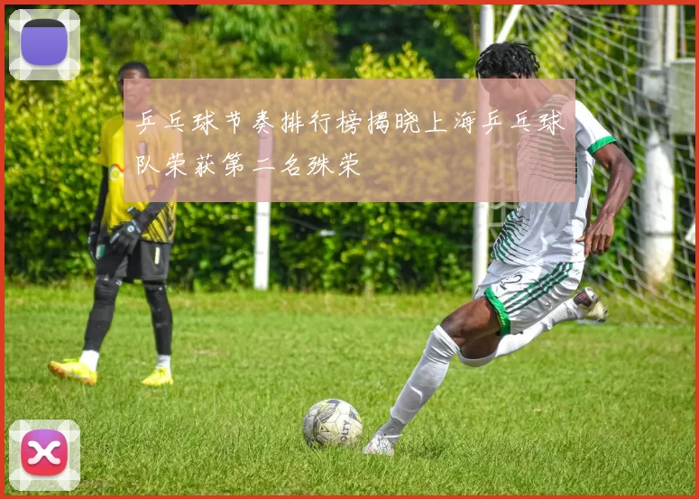 乒乓球节奏排行榜揭晓上海乒乓球队荣获第二名殊荣