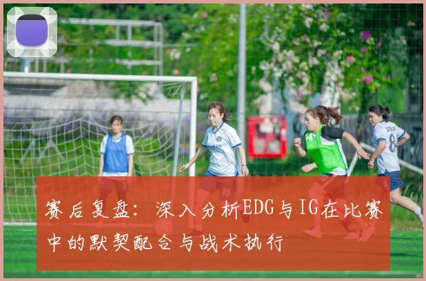 赛后复盘：深入分析EDG与IG在比赛中的默契配合与战术执行