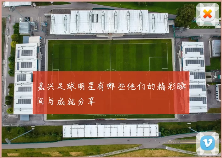 嘉兴足球明星有哪些他们的精彩瞬间与成就分享