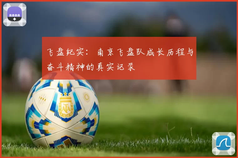 飞盘纪实：南京飞盘队成长历程与奋斗精神的真实记录