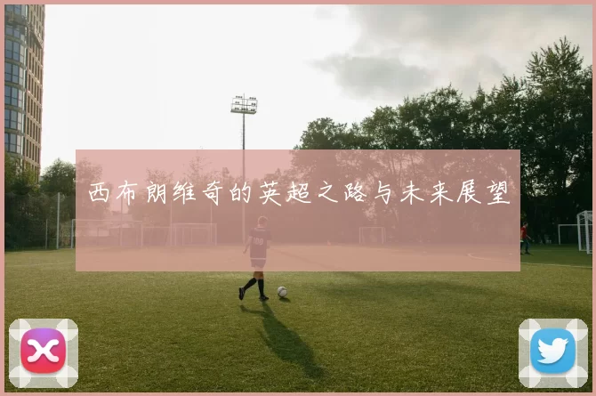 西布朗维奇的英超之路与未来展望