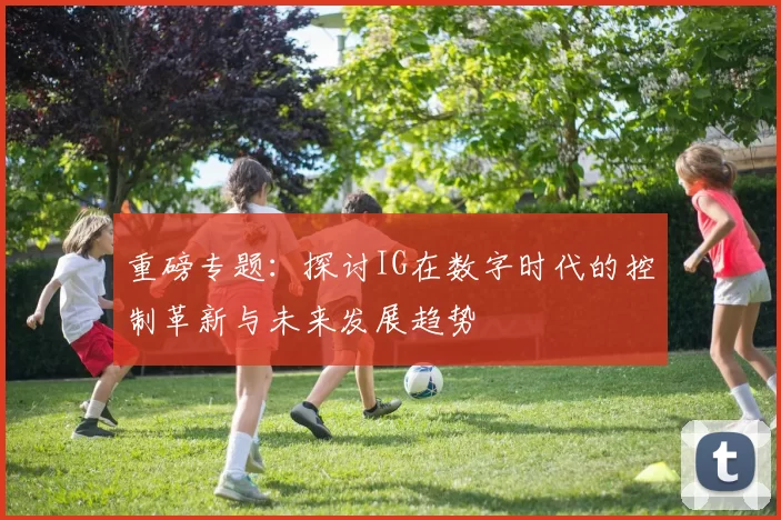 重磅专题：探讨IG在数字时代的控制革新与未来发展趋势
