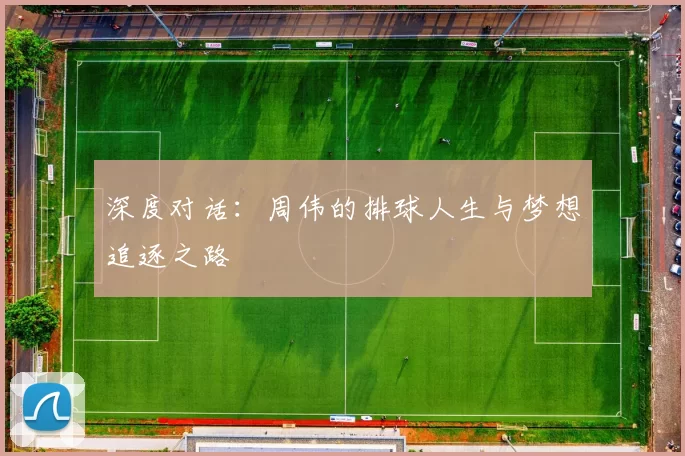 深度对话：周伟的排球人生与梦想追逐之路