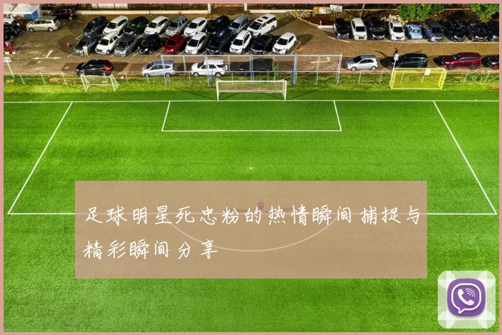 足球明星死忠粉的热情瞬间捕捉与精彩瞬间分享