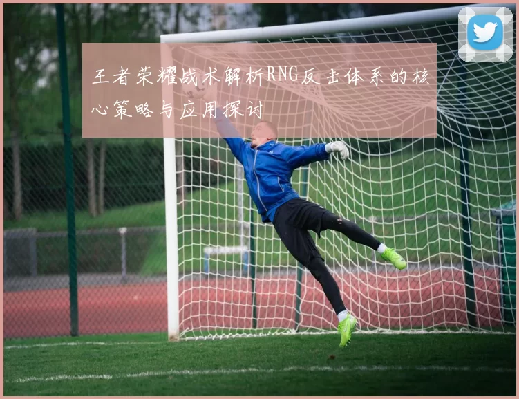 王者荣耀战术解析RNG反击体系的核心策略与应用探讨