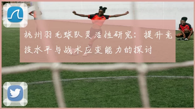 杭州羽毛球队灵活性研究：提升竞技水平与战术应变能力的探讨