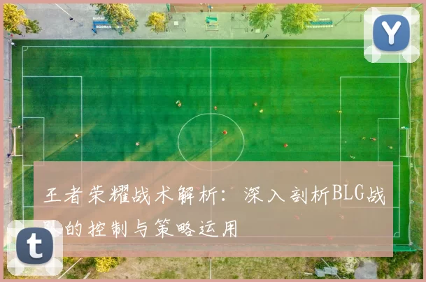 王者荣耀战术解析：深入剖析BLG战队的控制与策略运用