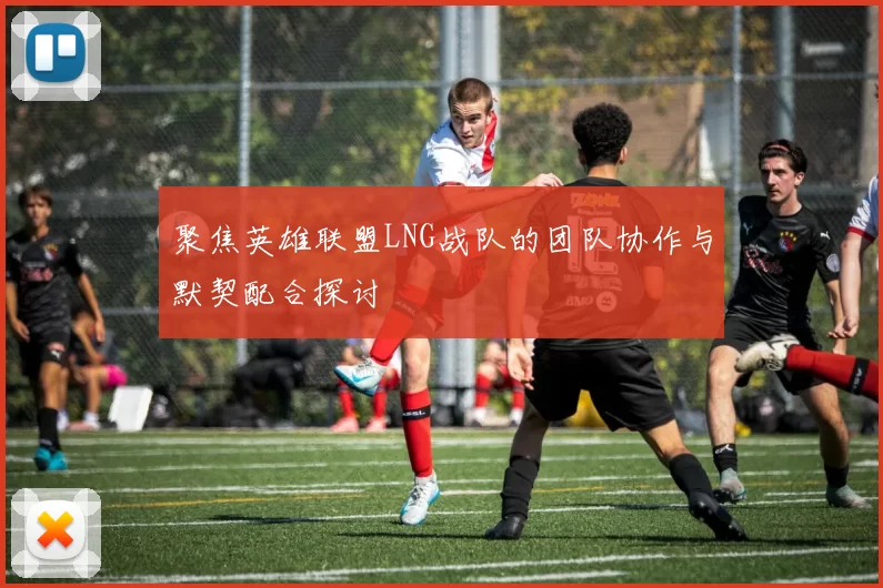 聚焦英雄联盟LNG战队的团队协作与默契配合探讨