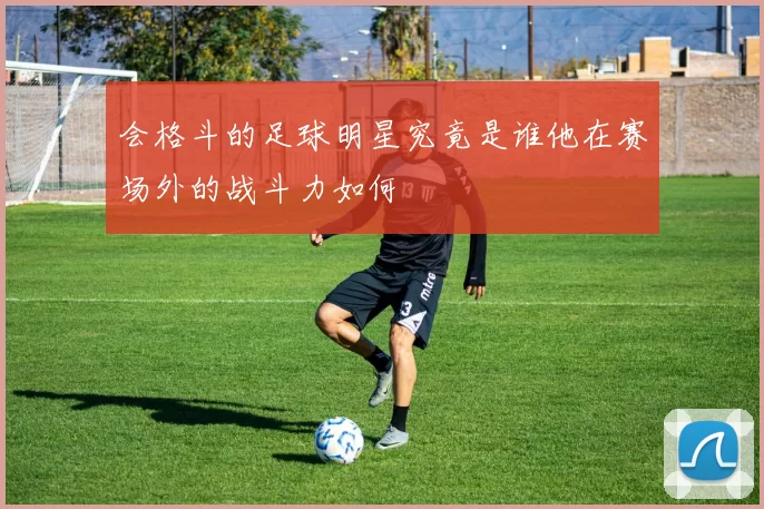 会格斗的足球明星究竟是谁他在赛场外的战斗力如何