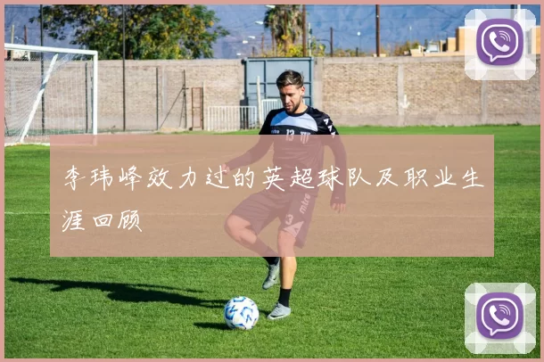 李玮峰效力过的英超球队及职业生涯回顾