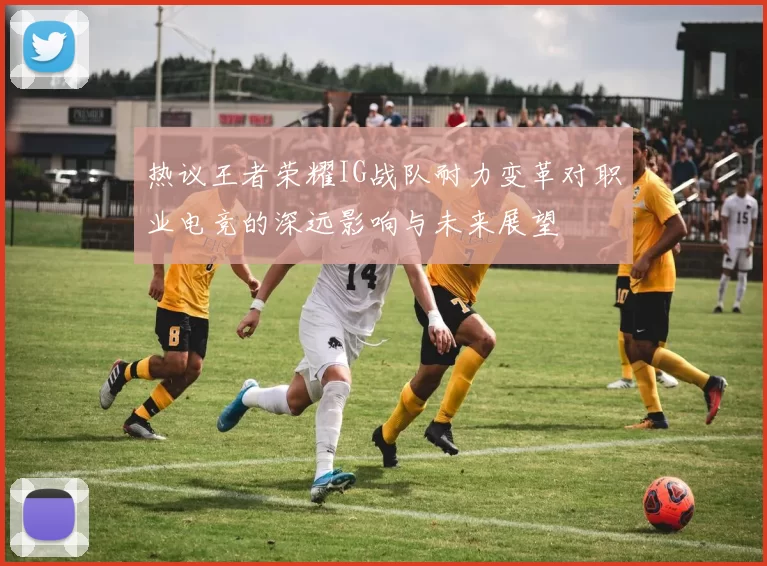 热议王者荣耀IG战队耐力变革对职业电竞的深远影响与未来展望