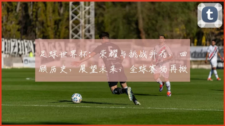 足球世界杯：荣耀与挑战并存，回顾历史，展望未来，全球赛场再掀热潮
