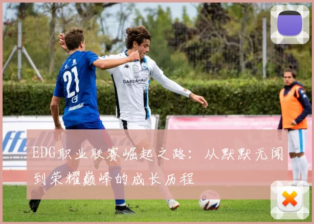 EDG职业联赛崛起之路：从默默无闻到荣耀巅峰的成长历程