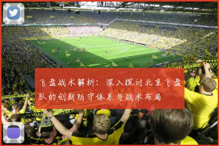 飞盘战术解析：深入探讨北京飞盘队的创新防守体系与战术布局
