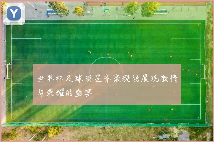 世界杯足球明星齐聚现场展现激情与荣耀的盛宴