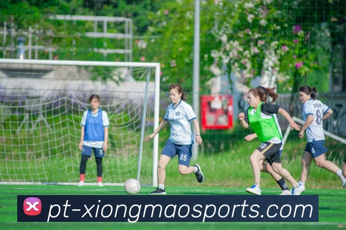 熊猫体育品牌故事